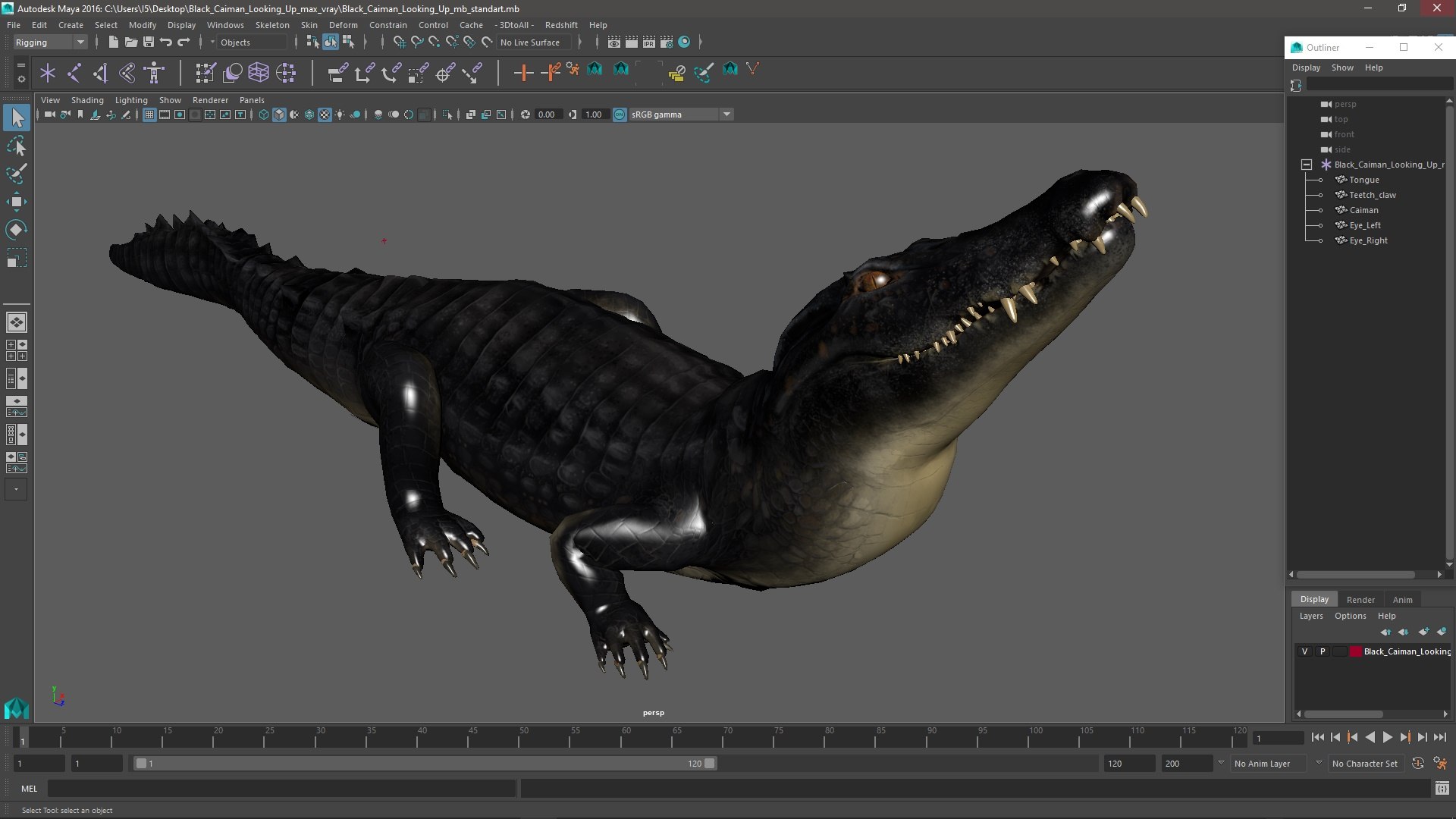 Black Caiman Looking Up model https://p.turbosquid.com/ts-thumb/7I/nTKAhs/IF/blackcaimanlookingupc4dmodel023/jpg/1709955194/1920x1080/fit_q87/cf342aca3a864443a20ee8b8a28e46210e9ce3f2/blackcaimanlookingupc4dmodel023.jpg