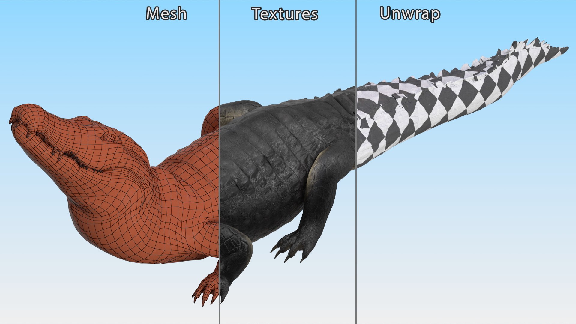 Black Caiman Looking Up model https://p.turbosquid.com/ts-thumb/7I/nTKAhs/SO/blackcaimanlookingupc4dmodel014/jpg/1709955158/1920x1080/fit_q87/cec3db448596099dcfc0fde44487c9e2504f592f/blackcaimanlookingupc4dmodel014.jpg