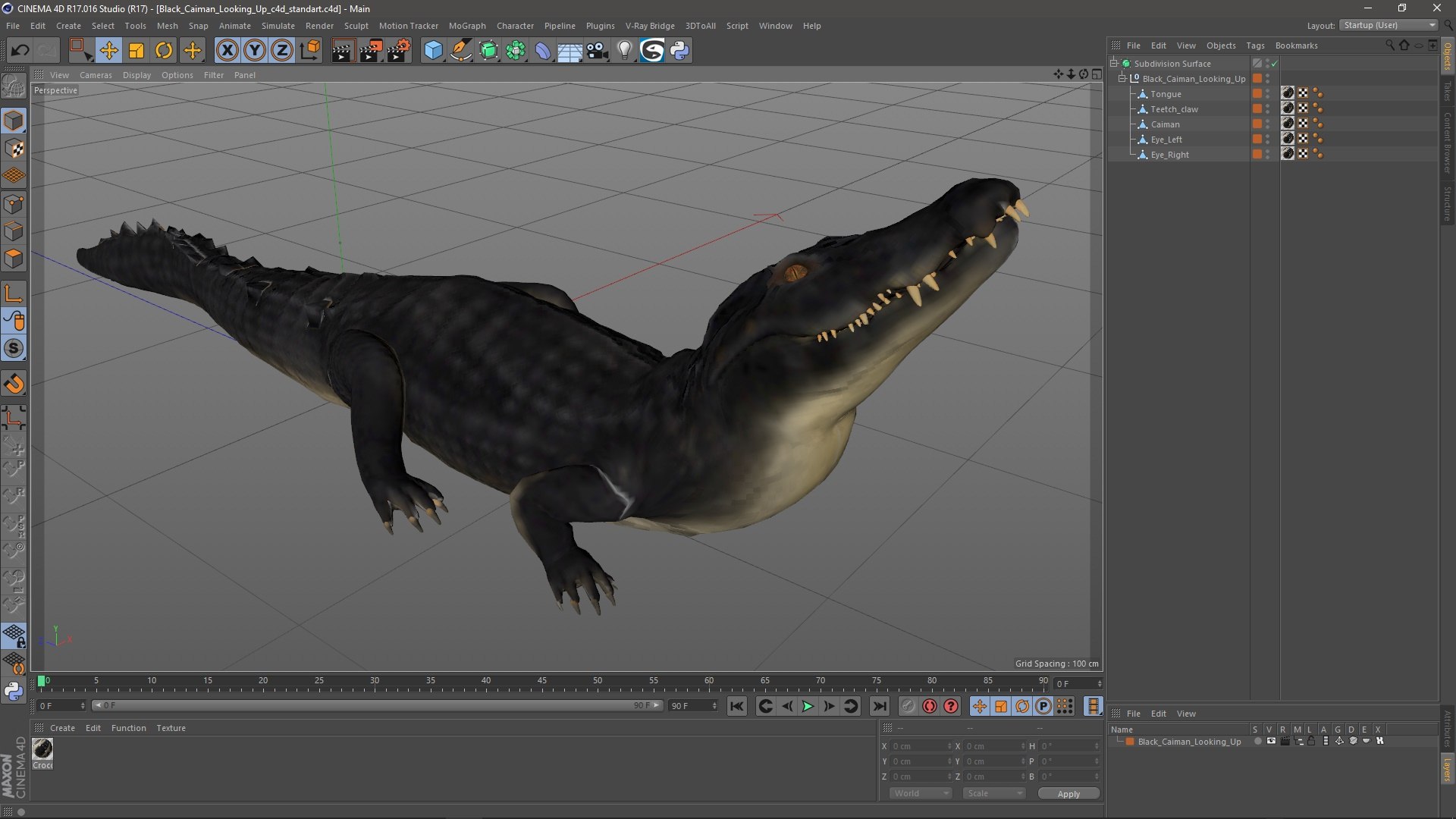 Black Caiman Looking Up model https://p.turbosquid.com/ts-thumb/7I/nTKAhs/ZB/blackcaimanlookingupc4dmodel022/jpg/1709955190/1920x1080/fit_q87/81127c967ac06fe8a913afba404f69081c5783ef/blackcaimanlookingupc4dmodel022.jpg