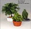 Wireless table lamp