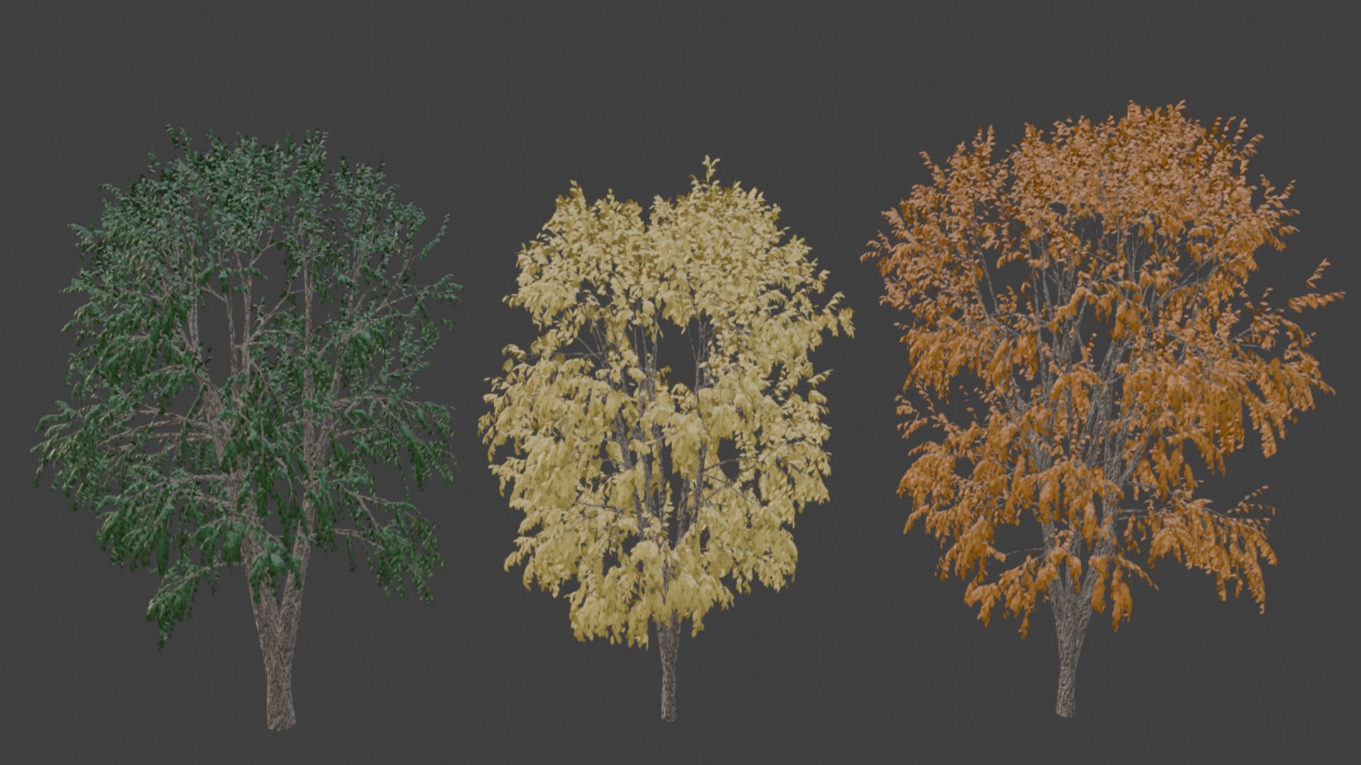 Beech Trees 3D Model - TurboSquid 2355560