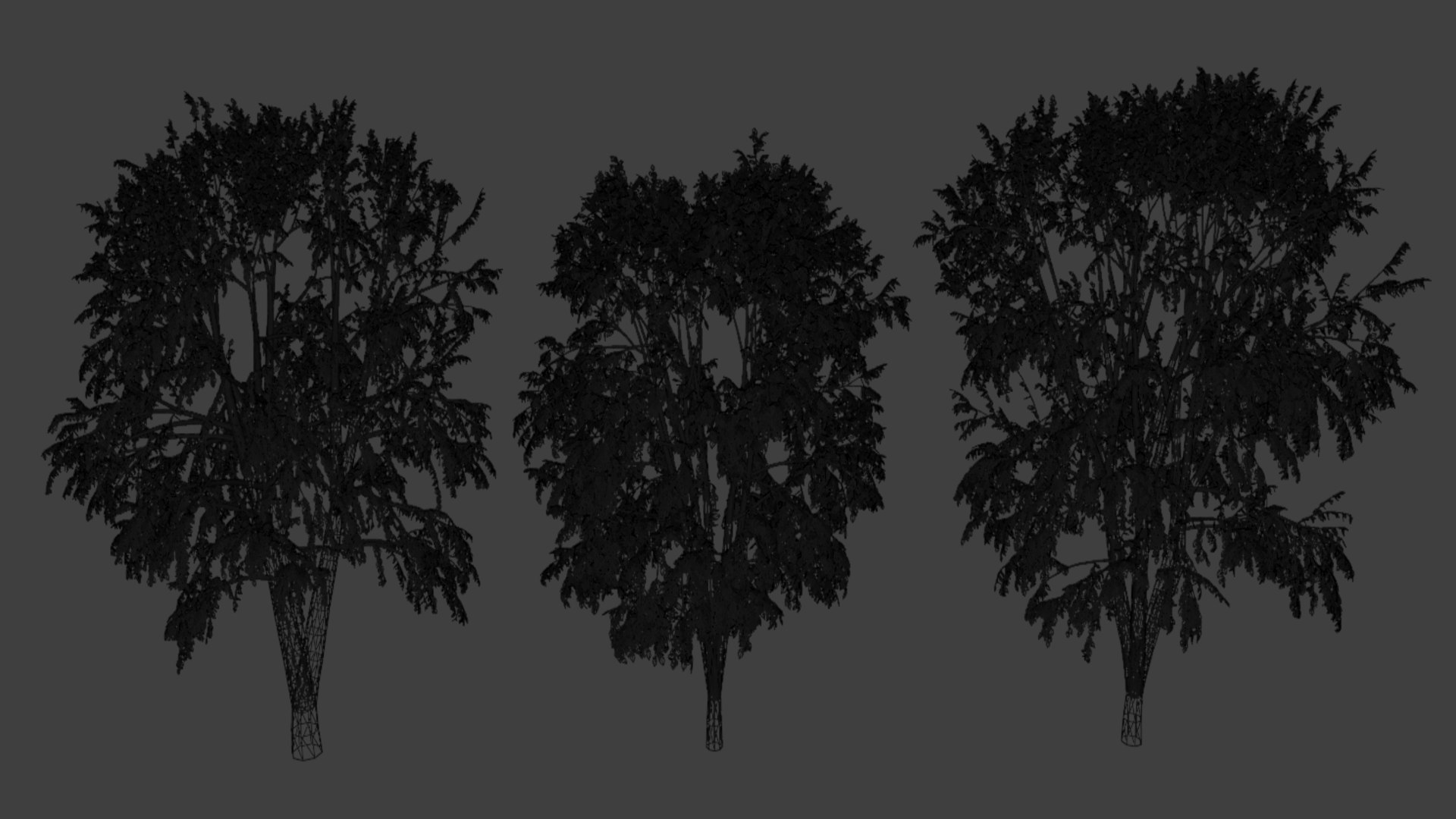 Beech Trees 3D Model - TurboSquid 2355560