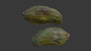 Unripe Papaya Scan 3D