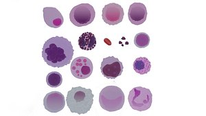 18 Blood cells pack