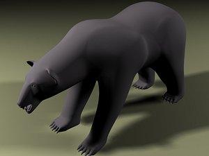 polar bear ma