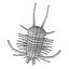 trilobite tri 3d model