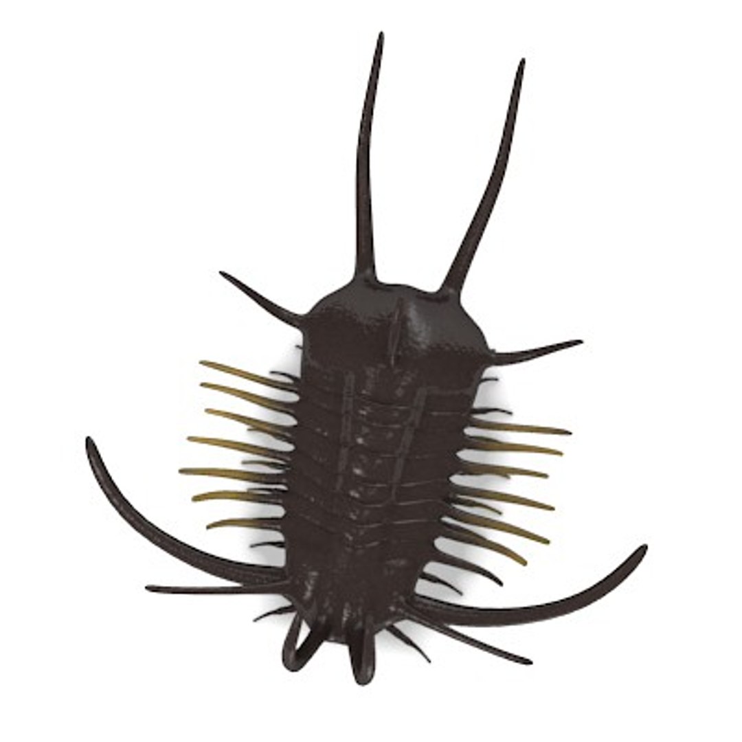 trilobite tri 3d model https://p.turbosquid.com/ts-thumb/7J/Ml1IiU/uBSAS9US/trilobite4/jpg/1287242793/1920x1080/fit_q87/32c3fc0b4aacbc9ff57408e6bd8df8ca9ea9c4a1/trilobite4.jpg