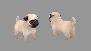 Cartoon pet puppy - Paco - baby dog 3D