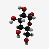 Glucose Molecule