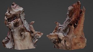 Trunk Scanned 3D model