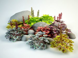 coral bells flowering 3D model