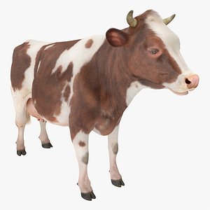 cow fur 3D model