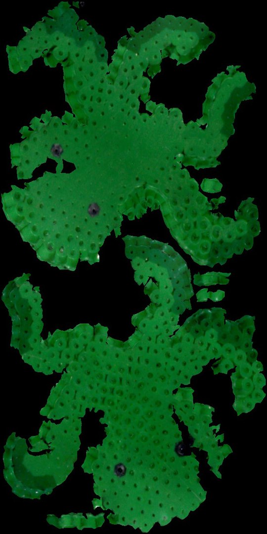 3D Small Green Craft Octopus Model - TurboSquid 2357328