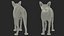 sphynx cat solid color 3D