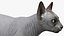 sphynx cat solid color 3D