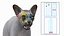 sphynx cat solid color 3D