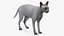 sphynx cat solid color 3D