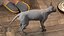 sphynx cat solid color 3D
