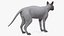 sphynx cat solid color 3D