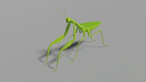 3D Low-poly Mantis model