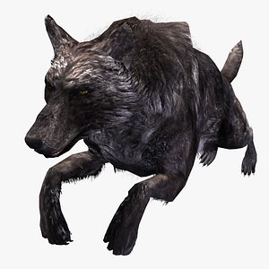 Black Timber Wolf with Fur LowPoly Rigged Animated 3D