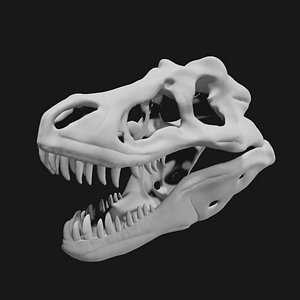 T-rex skull 3D model