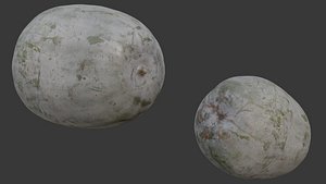 Winter Melon Scan 3D