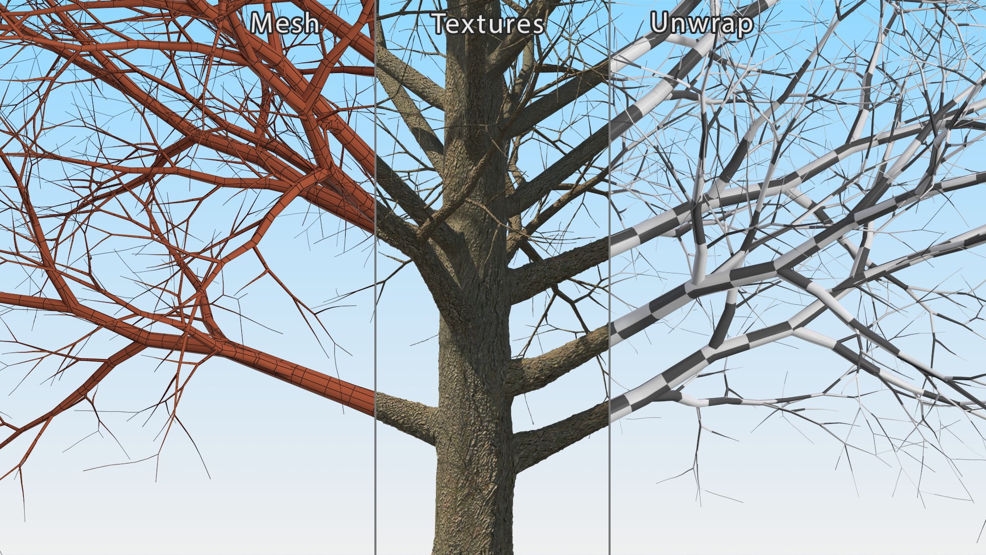 3D Bare Winter Maple Tree https://p.turbosquid.com/ts-thumb/7K/cbDrmB/5V/barewintermapletreevray3dmodel016/jpg/1708728236/1920x1080/fit_q87/b830c7070e9c45426d32d126adfd26dfa596a8c4/barewintermapletreevray3dmodel016.jpg
