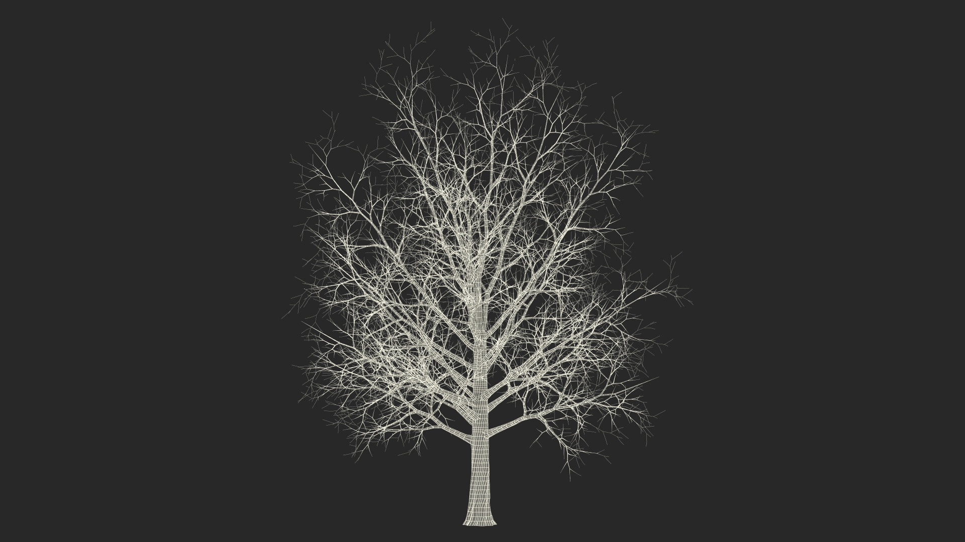3D Bare Winter Maple Tree - TurboSquid 2194748
