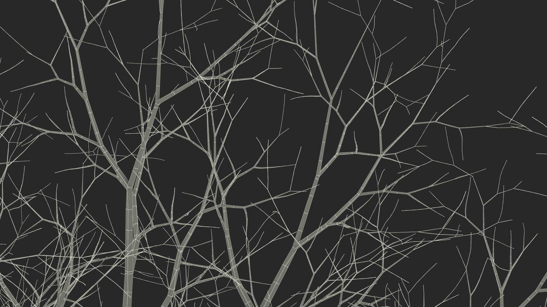 3D Bare Winter Maple Tree https://p.turbosquid.com/ts-thumb/7K/cbDrmB/BZ/barewintermapletreevray3dmodel029/jpg/1708728287/1920x1080/fit_q87/f5a9cd9b009e065531519725218519a26f552dbd/barewintermapletreevray3dmodel029.jpg