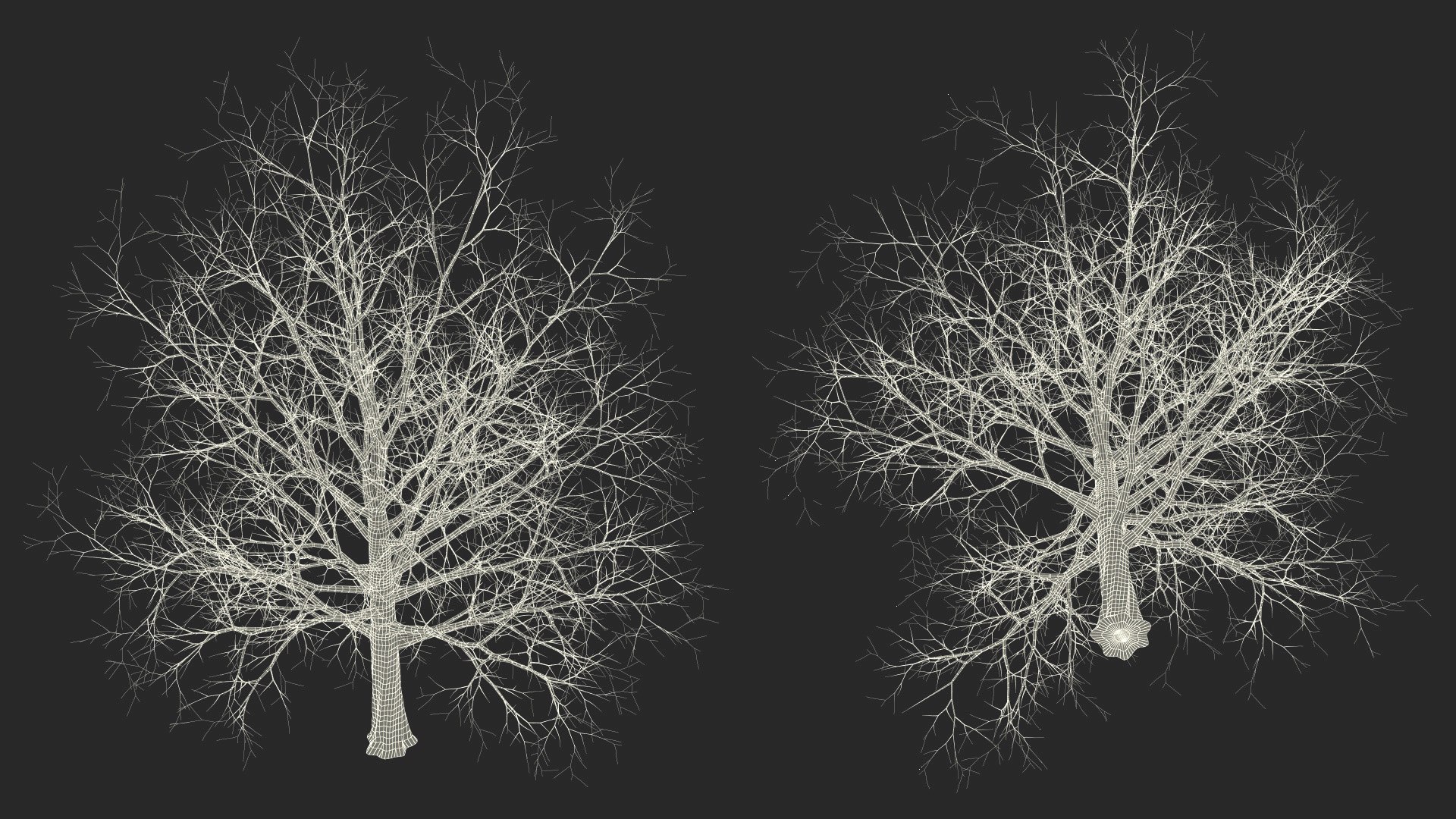 3D Bare Winter Maple Tree https://p.turbosquid.com/ts-thumb/7K/cbDrmB/Ik/barewintermapletreevray3dmodel027/jpg/1708728279/1920x1080/fit_q87/ccc97178c0a1c550aed5b63401d149dfc6a85d31/barewintermapletreevray3dmodel027.jpg