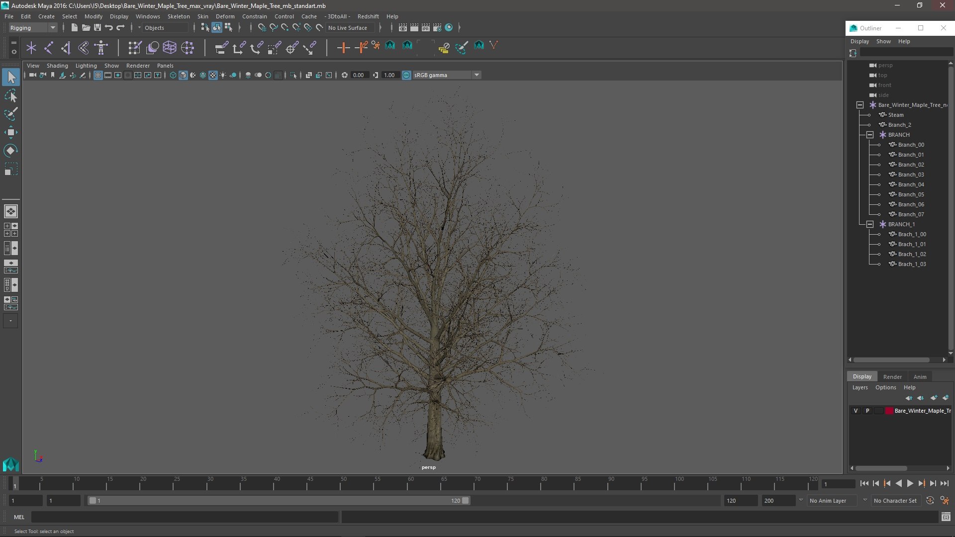 3D Bare Winter Maple Tree https://p.turbosquid.com/ts-thumb/7K/cbDrmB/OS/barewintermapletreevray3dmodel025/jpg/1708728271/1920x1080/fit_q87/7df1ff8dcb60a6c2a3cb157199227bc2d3f41081/barewintermapletreevray3dmodel025.jpg