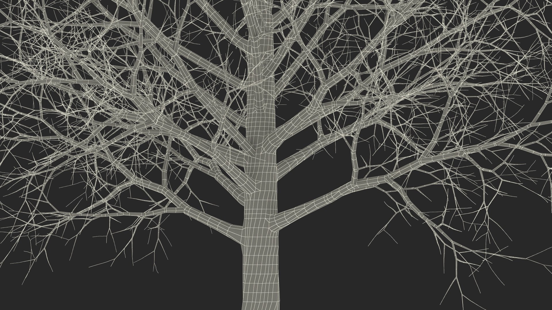 3D Bare Winter Maple Tree https://p.turbosquid.com/ts-thumb/7K/cbDrmB/T9/barewintermapletreevray3dmodel028/jpg/1708728283/1920x1080/fit_q87/1c24206f0a92ed8dfef217a72187994f52a941ff/barewintermapletreevray3dmodel028.jpg