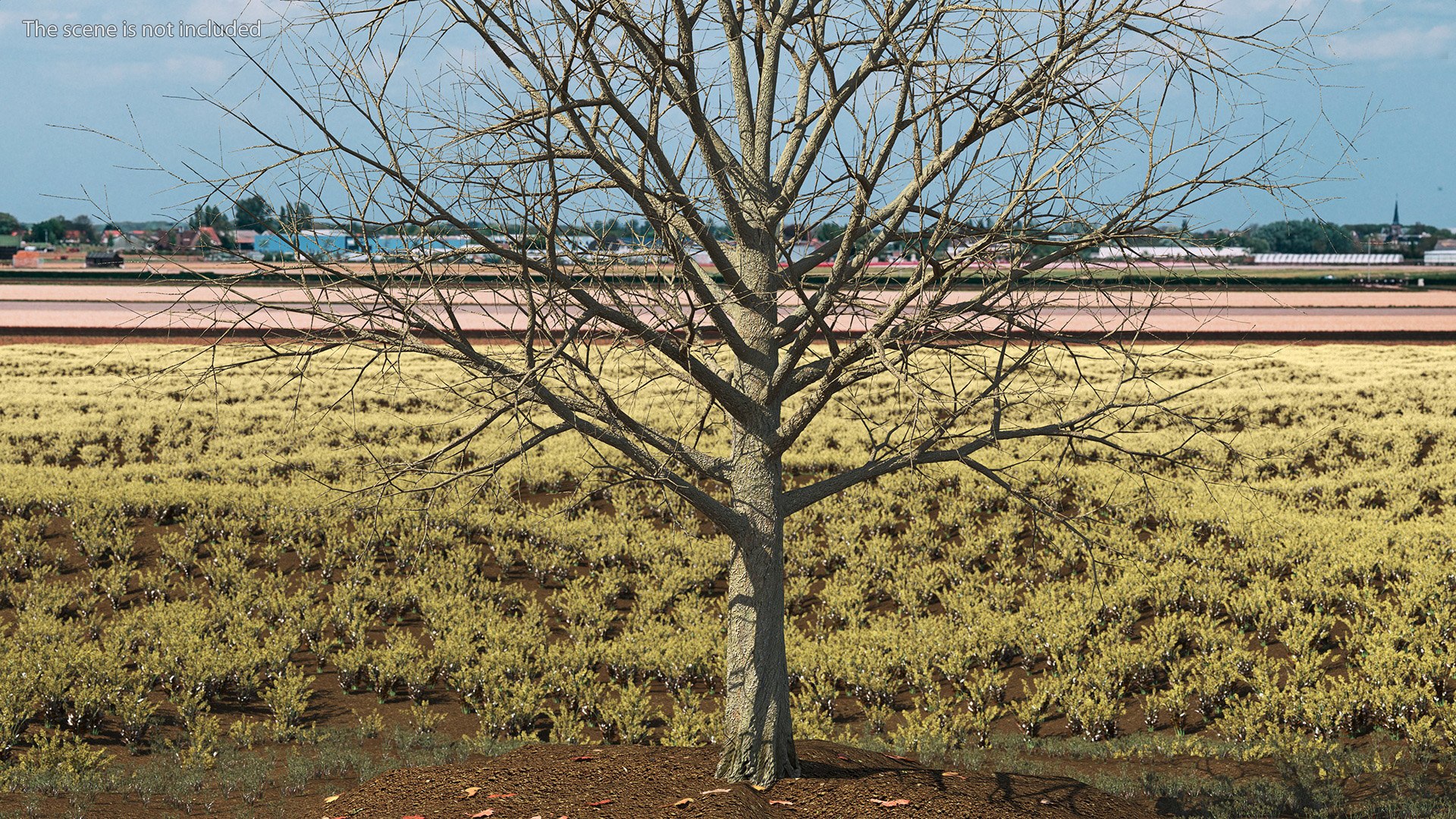 3D Bare Winter Maple Tree https://p.turbosquid.com/ts-thumb/7K/cbDrmB/UK/barewintermapletreevray3dmodel003/jpg/1708728185/1920x1080/fit_q87/42a2a4dd97331ade5e3fcff94e904831713c0f59/barewintermapletreevray3dmodel003.jpg