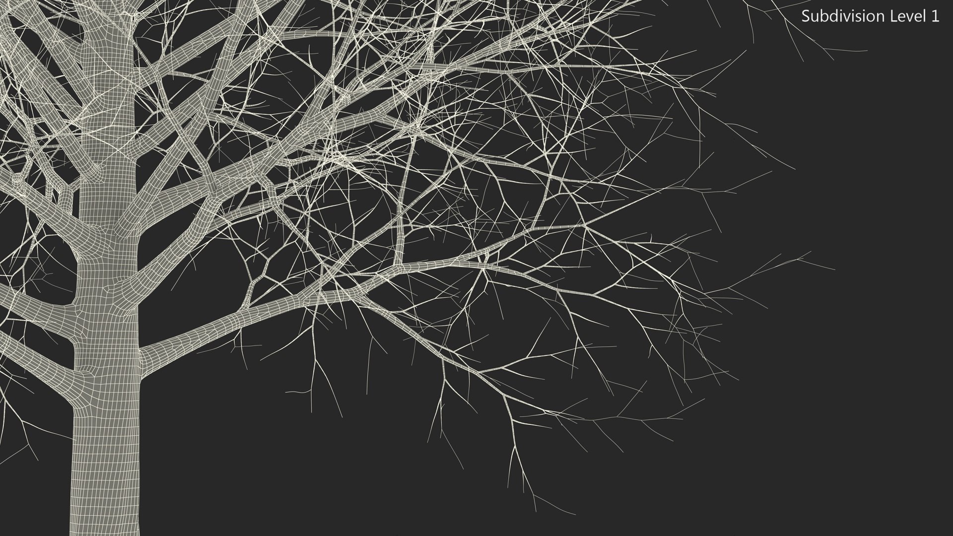 3D Bare Winter Maple Tree https://p.turbosquid.com/ts-thumb/7K/cbDrmB/iN/barewintermapletreevray3dmodel018/jpg/1708728244/1920x1080/fit_q87/e2eb6327bc6a5d7a1be5b2cdde6a2797ca994d0c/barewintermapletreevray3dmodel018.jpg