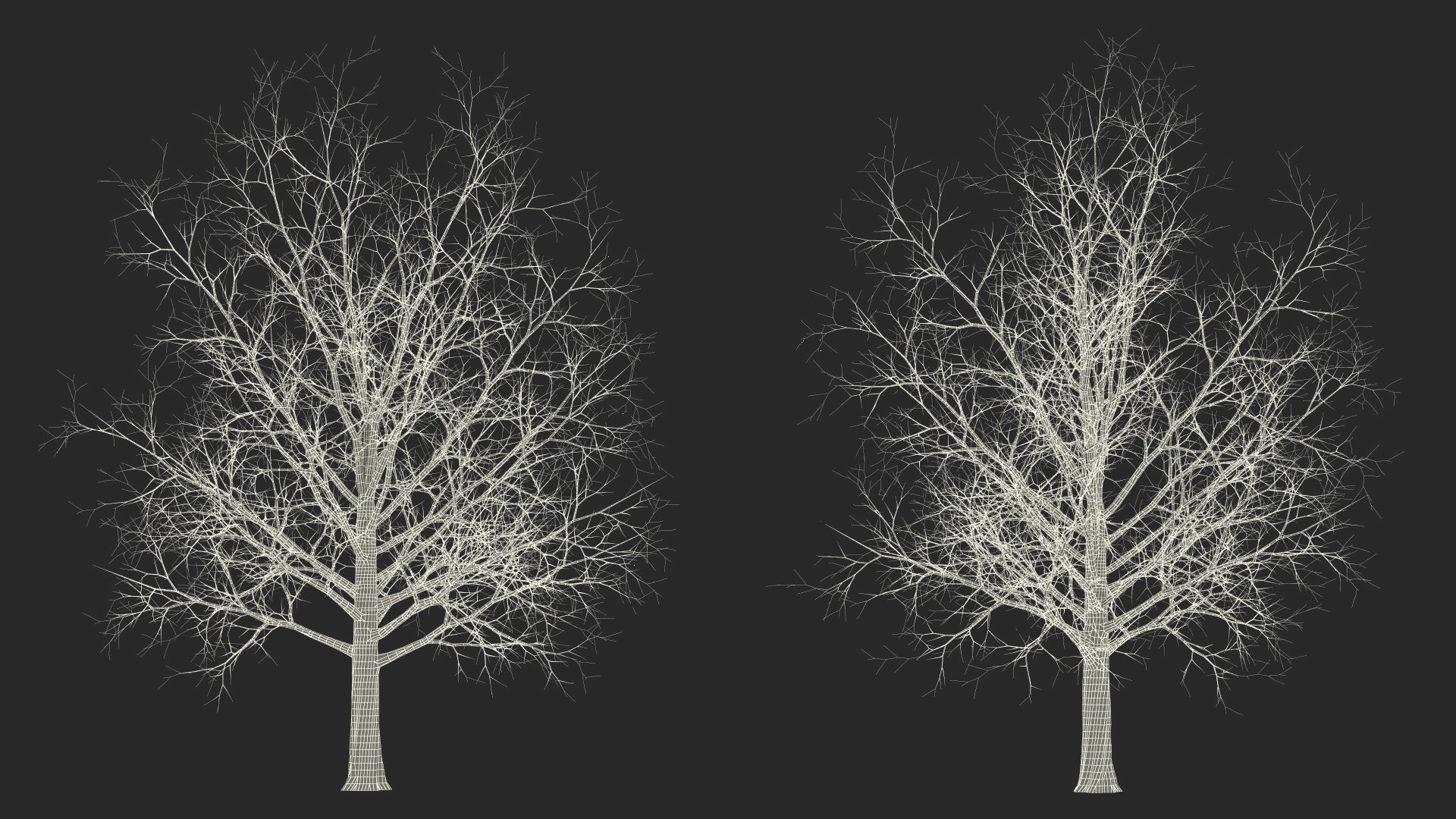 3D Bare Winter Maple Tree https://p.turbosquid.com/ts-thumb/7K/cbDrmB/mN/barewintermapletreevray3dmodel026/jpg/1708728275/1920x1080/fit_q87/8cd804f5e29712e4aac8d8c6aead6fcf75bdbe3c/barewintermapletreevray3dmodel026.jpg