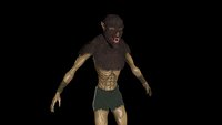 Werewolf