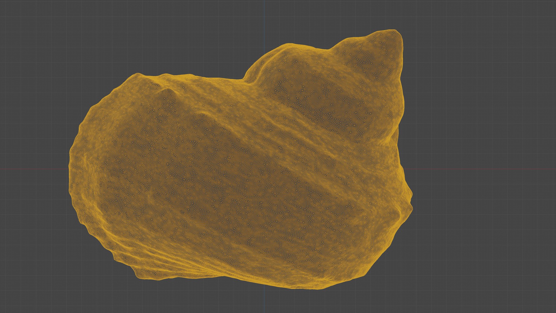 Scanned Seashell Model - TurboSquid 2345940