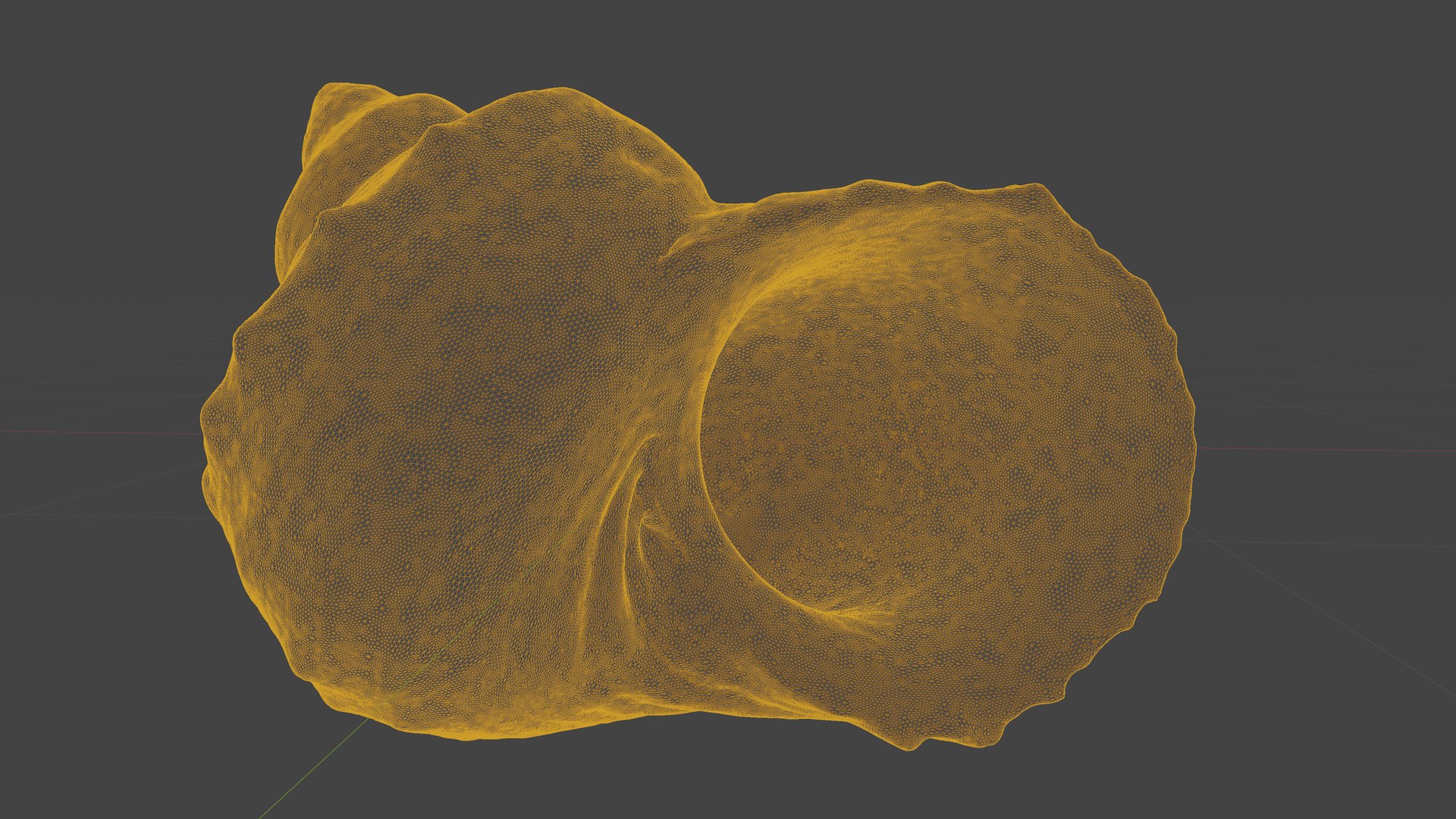 Scanned Seashell Model - TurboSquid 2345940