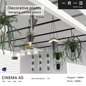 Decorative Plants hanging potted 3D model
