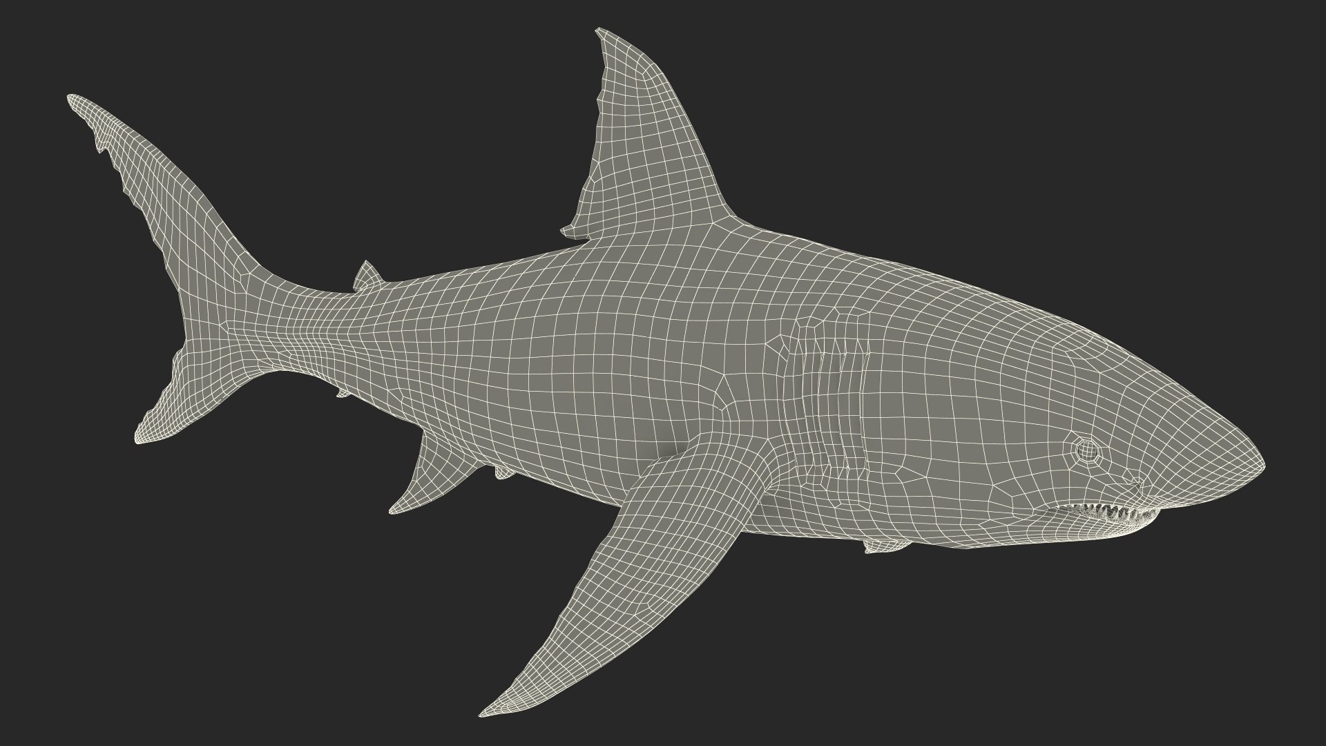 Great White Shark Blood Stained 3D model - TurboSquid 2140552