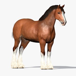 cinema4d clydesdale draft-horses