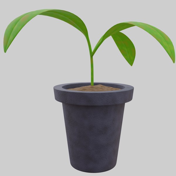 Plant and Pot 3D