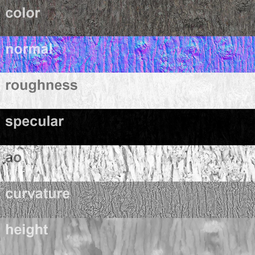 3D Winged Elm PBR tiled texture 8K 04 https://p.turbosquid.com/ts-thumb/7L/bGCMgy/6B/elm_winged04_color/jpg/1781861701/1920x1080/fit_q87/4dba393d72c31c969d6893c39f65117ed0a44883/elm_winged04_color.jpg