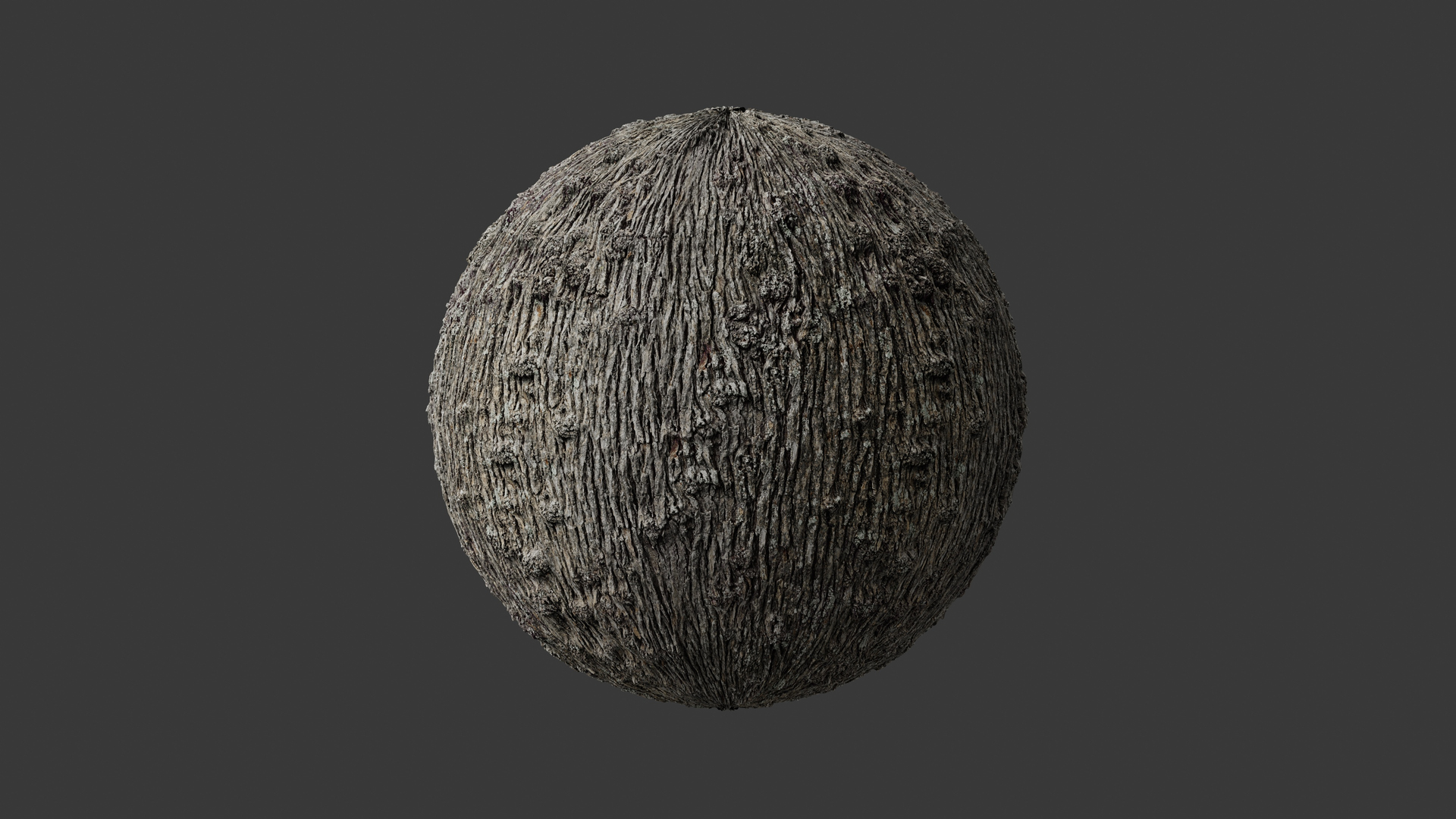 3D Winged Elm PBR tiled texture 8K 04 https://p.turbosquid.com/ts-thumb/7L/bGCMgy/7r/elm_mat4_fullquality_002/jpg/1781686953/1920x1080/turn_fit_q99/f0b530bd44b68b91ee364460b0419e2a3f26f5e0/elm_mat4_fullquality_002-1.jpg