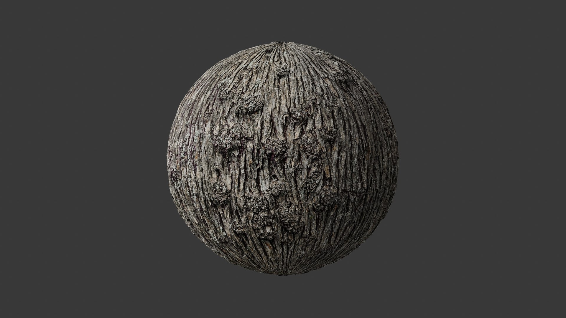 3D Winged Elm PBR tiled texture 8K 04 https://p.turbosquid.com/ts-thumb/7L/bGCMgy/G5/elm_mat4_fullquality_00019/jpg/1781687037/1920x1080/fit_q87/e54ecdb380323bed1624ec6a6580dea73f6c1952/elm_mat4_fullquality_00019.jpg