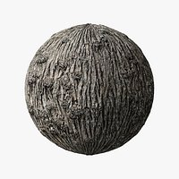 Winged Elm PBR tiled texture 8K 04