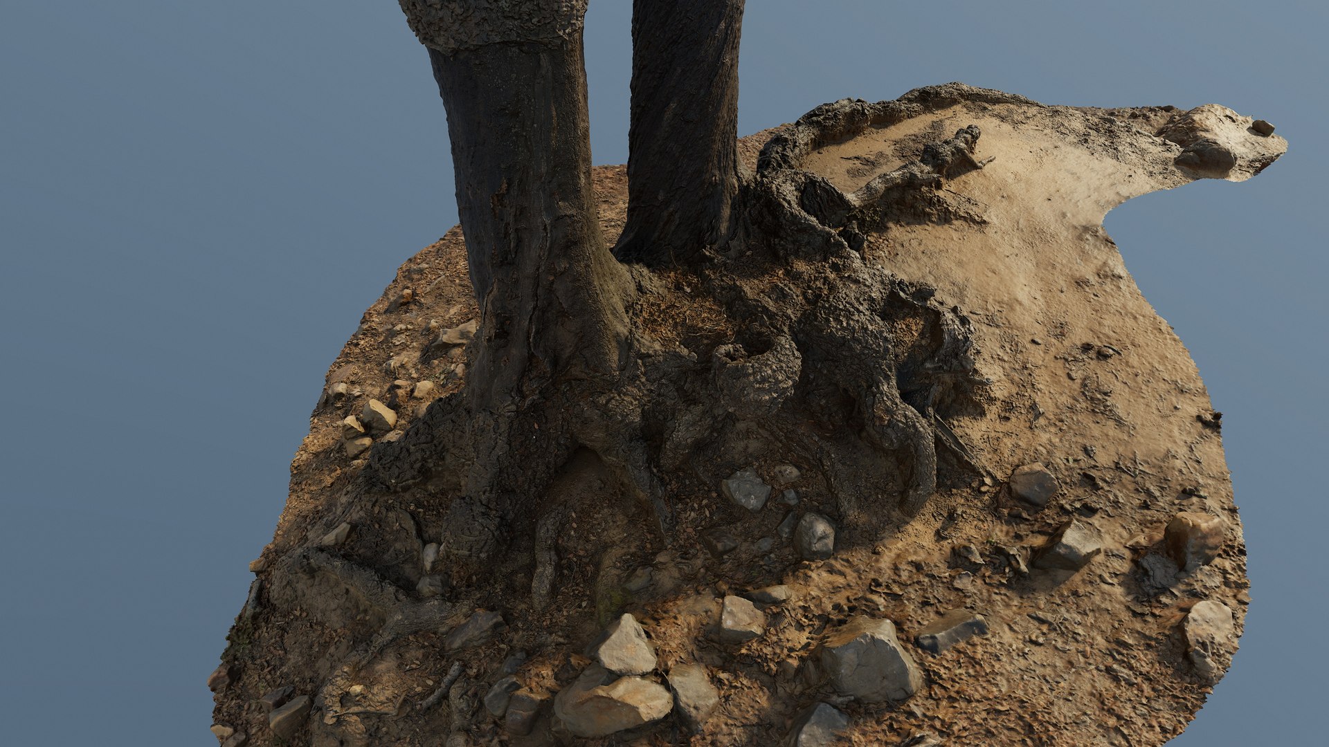3D Treeroots01 - TurboSquid 1963791
