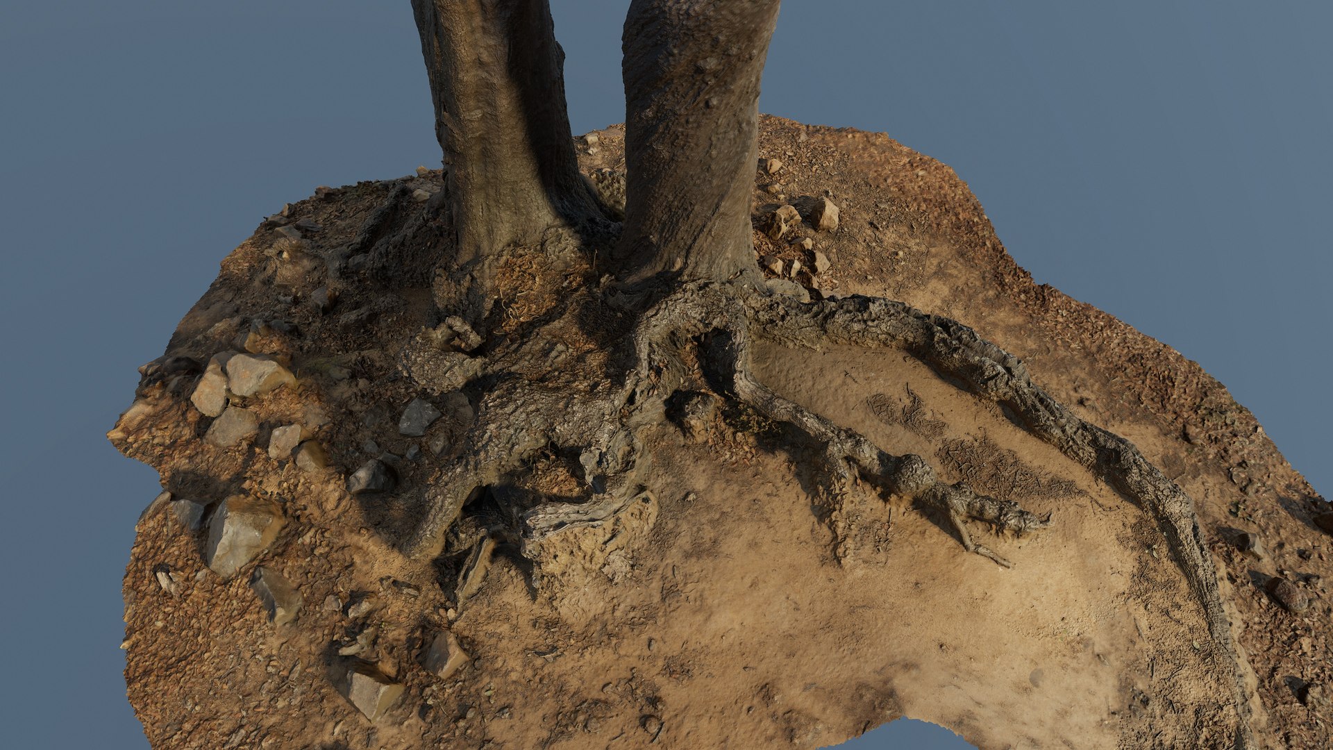 3D Treeroots01 - TurboSquid 1963791