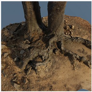 3D treeroots01